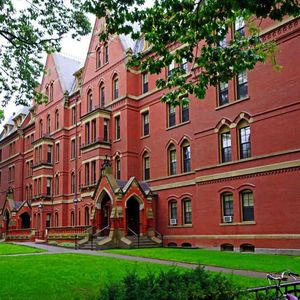 Harvard Economist Admits $100 BTC Prediction Fail, Blames Regulation and Underground Economy