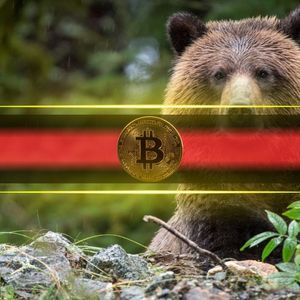 $90K Bitcoin Meltdown Looming? Analyst Rings Alarm as Whales Flee