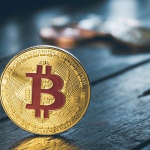 Bitcoin Network Hits Record Activity High: What Does it Mean for BTC’s Price?