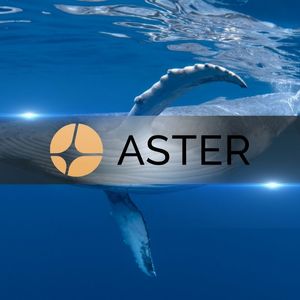 Whales Scoop Up Over  $48M in ASTER Within 24 Hours