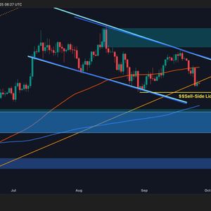 Bitcoin Price Analysis: BTC Sinks Below Crucial Support – What’s Next?