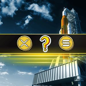 Only 24% of Altcoins Are Above Their 200-Day SMA – Is a Massive Buy Opportunity Brewing?