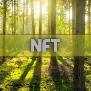 NFT Sales Plummet to 16-Month Low After FTX Blowup