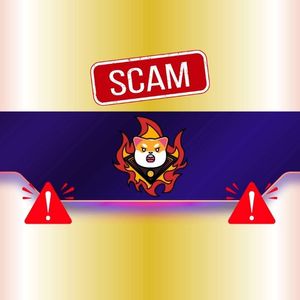 Critical Warning Concerning Shiba Inu (SHIB) Users: Details