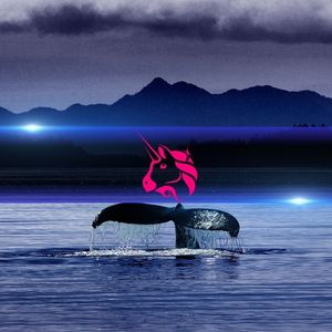 Binance Whales Are Quietly Buying Up Uniswap’s UNI Token Amidst Market Weakness