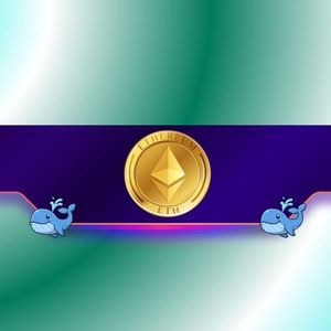 Whales Load Up on ETH 19% Below ATH: Is a Big Ethereum Move Brewing?