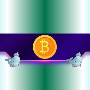 Big Moves Ahead for BTC and ETH as Whale Activity Surges?