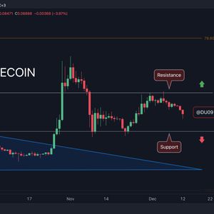 DOGE Crashes 8% Daily, How Low Can it Drop? (Dogecoin Price Analysis)