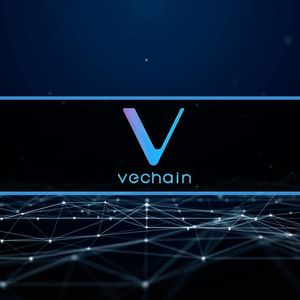 VeChain Denies Bybit’s Explosive ‘Hidden Freeze’ Claim: 2019 Blocklist Was Not a Secret Kill Switch