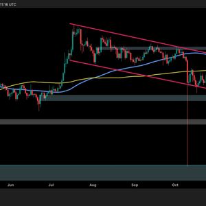Ripple Price Analysis: XRP Hits a Major Decision Point Against Both USD and BTC