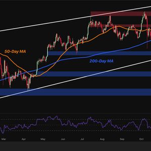 Bitcoin Price Analysis: Will BTC’s Brutal Sell-Off Stop After Drop Below $81K?