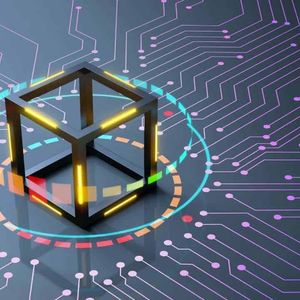 Crypto On-Chain Activity Plunges in November Across Key Metrics