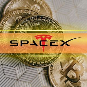 SpaceX, BlackRock Shift $296M in Bitcoin: Sell-Off Signal Ahead?