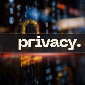 Why Privacy in Crypto is Back on the Menu: Dash Core Member Joël Valenzuela Chips In