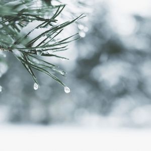 Crypto Trading Activity Hits Yearly Lows as Holiday Lull Freezes Markets