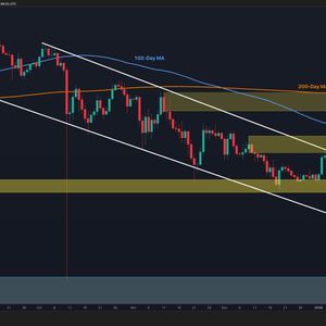 Ripple Price Analysis: What Is XRP’s Next Most Likely Scenario After 30% Weekly Surge?