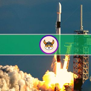 Whales Can’t Get Enough of Meme Coins as FLOKI Explodes 950%