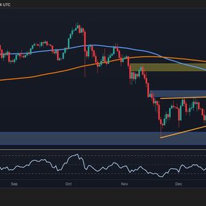 Bitcoin Price Analysis: Major Pullback or Explosive BTC Breakout Next?