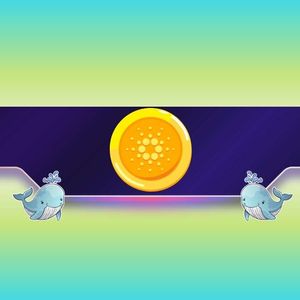 210,000,000 ADA Bought in 3 Weeks: What Do Cardano Whales Know?