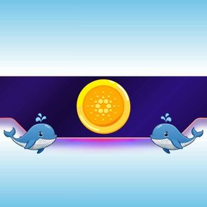 450,000,000 ADA in 2 Months: Is Cardano’s Price on the Verge of a Rally?