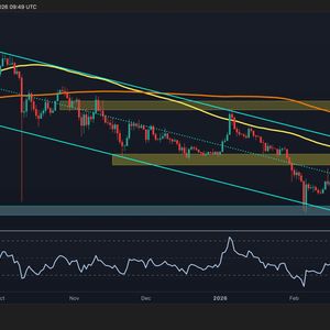 Ripple Price Analysis: XRP’s Next Critical Levels to Watch After 20% Bounce