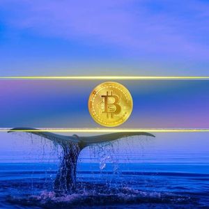 20,000 Strong: Bitcoin Whale Wallets Near Crucial Threshold as BTC Trades Close to $68K