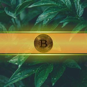 Bitcoin’s Leverage Ratio Drops Sharply – Is a Healthier Market Reset Underway?