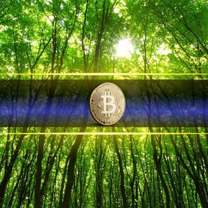 Bitcoin’s Worst Crash 6 Years Later: How Much Profit Would You Have Now?