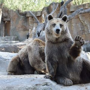 Over 40% of Altcoins Near All-Time Lows, Worse Than Last Bear Market