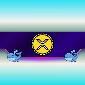 Ripple Whales Are Still Buying: So Why Is XRP’s Price Down Today?