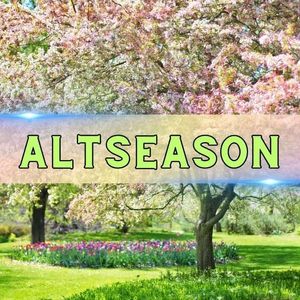 Three Macro Signals Align for Altcoins: But Is It Alt Season?