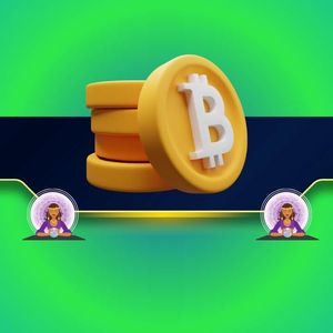 Bitcoin Whales Go on Big Accumulation Spree but Don’t Be Bullish Just Yet: Analysts