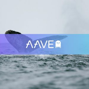 Whales Circle AAVE Amid Chaos: Is This Another Market Bottom Signal?