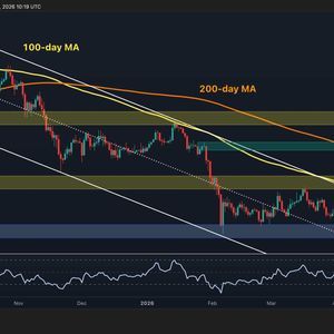 Bitcoin Price Prediction: Is $80K the Final Barrier Before a Massive Breakout?