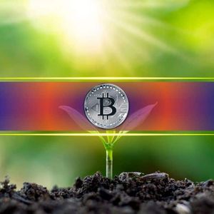 One Company May Be Controlling Bitcoin’s Momentum – Here’s How