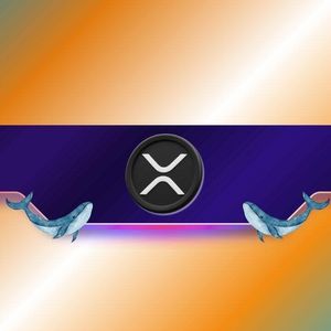 1,100,000,000 XRP in 1 Week: Do Ripple Whales Know Something We Don’t?