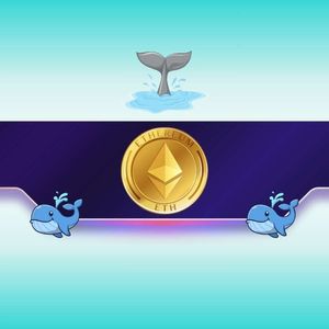 Ethereum Whales Go on Accumulation Spree as ETH Awaits Major Trigger