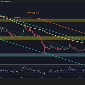 XRP Is Losing Ground to USD and Crashing Against BTC: Ripple Price Analysis