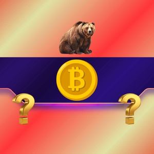 Bitcoin Price Falls Below Its Most Important Support, What Does it Mean?