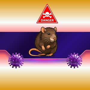 The Hantavirus Danger: Can a Potential Outbreak Spark a New Meme Coin Frenzy?