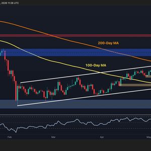 Bitcoin Price Analysis: BTC Maintains Key Support Levels, Will the Rebound Continue?