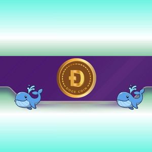 DOGE Price Dumps to Monthly Lows but Dogecoin Whales Load Up