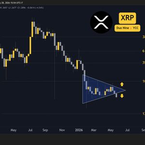 Why is the Ripple (XRP) Price Down Today? (May 28)