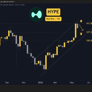 Why is the Hyperliquid (HYPE) Price Down Today?