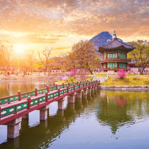 South Korea Cracks Down on CatFi Rugpull: First-Ever Crypto Fraud Case Under New Investor Protection Law