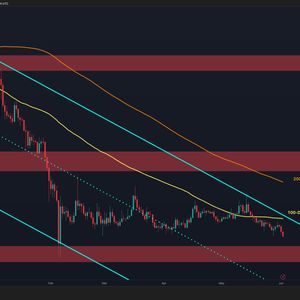 Ripple Price Analysis: XRP Shows Deeper Correction Signs Against Both USD and BTC