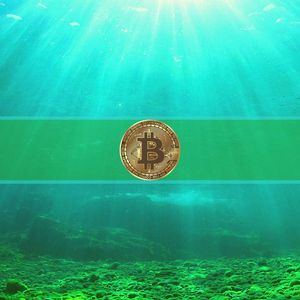 Major Bitcoin Demand Drop Sparks Debate Over Cycle Bottom Formation