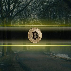 Is This the Hidden Reason Behind Bitcoin’s $23K Collapse in Just 6 Weeks?