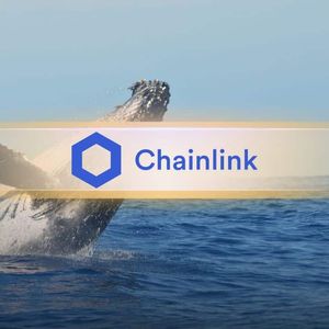 LINK Whales Move Millions to Binance Before Key Banking News