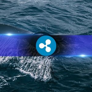 XRP Whales Are Moving On, and Binance Is No Longer Their Top Choice